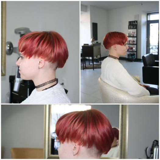 http://www.vlassalon.cz/